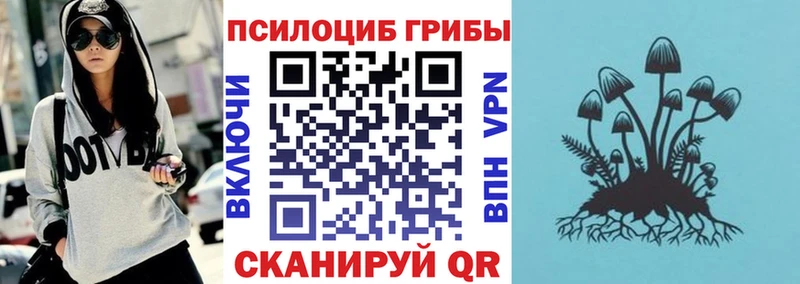 Галлюциногенные грибы мицелий  Колпашево 